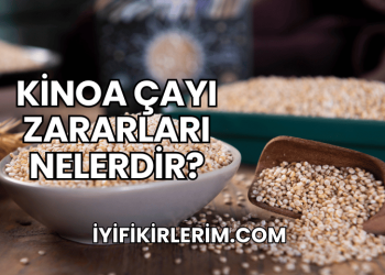 Kinoa Çayı Zararları Nelerdir?
