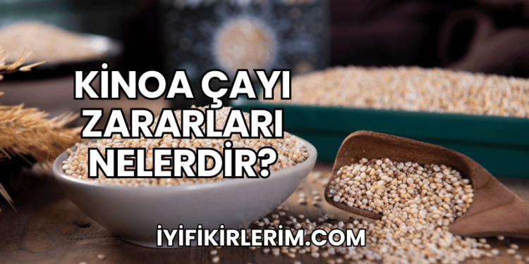 Kinoa Çayı Zararları Nelerdir?