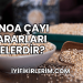 Kinoa Çayı Zararları Nelerdir?