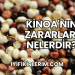 Kinoa'nın Zararları Nelerdir?