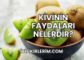 Kivinin Faydaları Nelerdir?