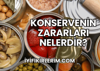 Konservenin Zararları Nelerdir?
