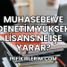 Muhasebe ve Denetim Yüksek Lisans Ne İşe Yarar?
