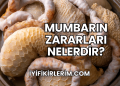 Mumbarın Zararları Nelerdir?