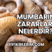 Mumbarın Zararları Nelerdir?