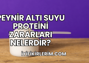 Peynir Altı Suyu Proteini Zararları Nelerdir?