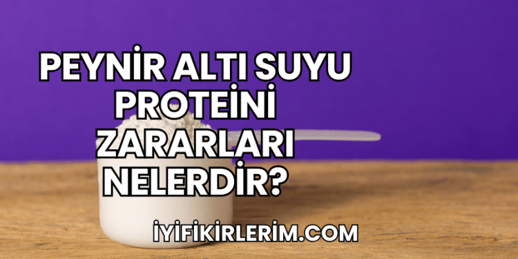 Peynir Altı Suyu Proteini Zararları Nelerdir?