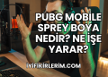 Pubg Mobile Sprey Boya Nedir? Ne İşe Yarar?