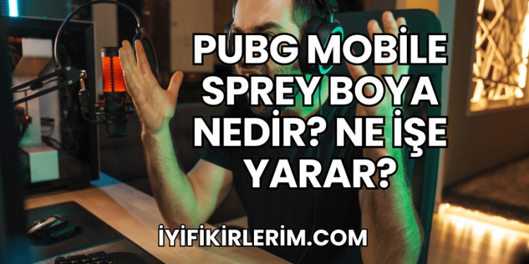 Pubg Mobile Sprey Boya Nedir? Ne İşe Yarar?