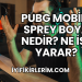 Pubg Mobile Sprey Boya Nedir? Ne İşe Yarar?