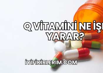 Q Vitamini Ne İşe Yarar?