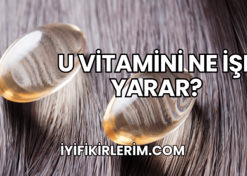 U Vitamini Ne İşe Yarar?