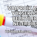Valproik Asit Yüksekliği Belirtileri Nelerdir?