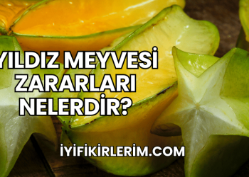 Yıldız Meyvesi Zararları Nelerdir?