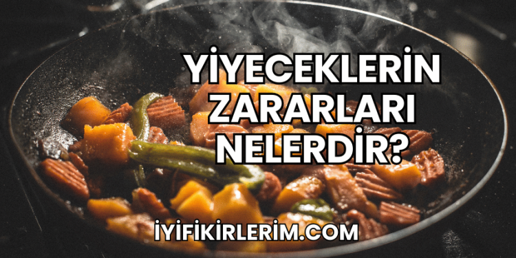 Yiyeceklerin Zararları Nelerdir?