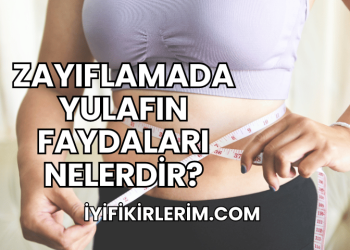 Zayıflamada Yulafın Faydaları Nelerdir?