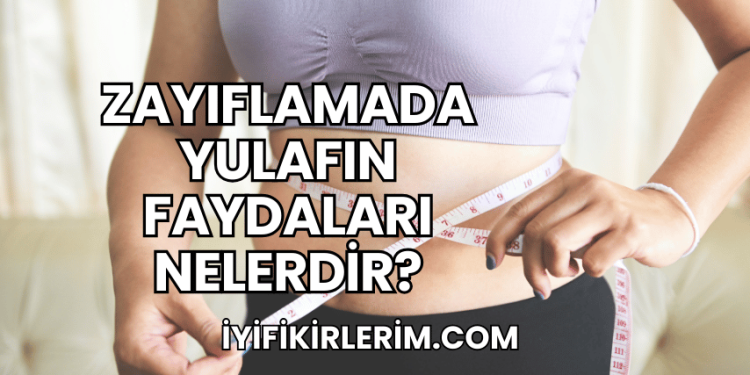 Zayıflamada Yulafın Faydaları Nelerdir?