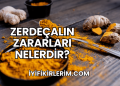 Zerdeçalın Zararları Nelerdir?