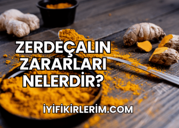 Zerdeçalın Zararları Nelerdir?