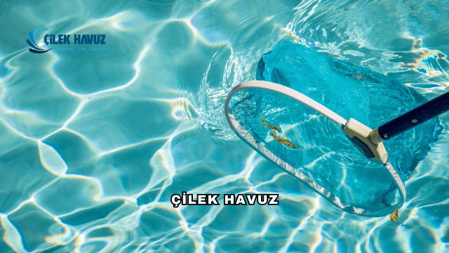 Çilek Havuz Hakkında Detaylı Bilgi