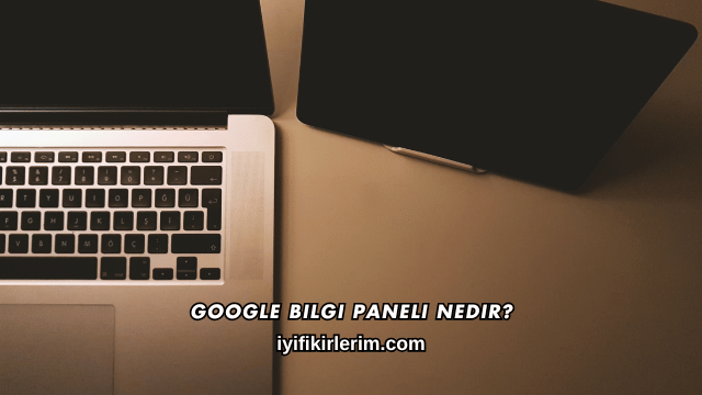 Google Bilgi Paneli Nedir?