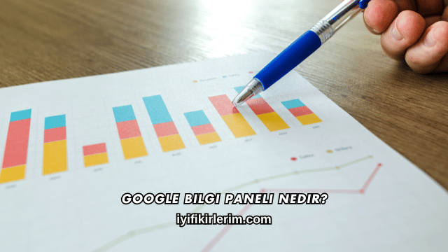 Google Bilgi Paneli Nedir?